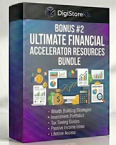 Financial Accelerator